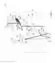Fig. 07 - LASER IMAGING