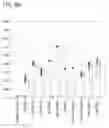 Fig. 07 - Microwave reflectometry for physical inspections