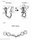 Fig. 02 - Molecular sensors