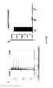 Fig. 07 - METHODS AND COMPOSITIONS FOR T-CELL EPITOPE SCREENING