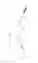Fig. 01 - Methods for detecting antibodies in mucosal samples and device for sampling mucosal material