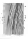 Fig. 07 - Frequency-based horizon interpretation based on seismic data