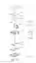 Fig. 43 - Optical member driving mechanism