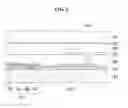 Fig. 03 - Display device