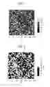 Fig. 02 - Toner, developer, toner storage unit, image forming apparatus, and image forming method