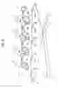 Fig. 07 - Intermediate transfer medium and image forming apparatus