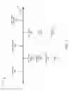 Fig. 02 - VM creation by installation media probe