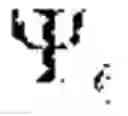 Fig. 74 - Bezier volume representation of point cloud attributes