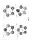 Fig. 04 - Style extensibility applied to a group of shapes by editing text files