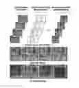 Fig. 01 - Computer Vision Systems and Methods for Unsupervised Representation Learning by Sorting Sequences