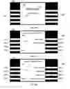 Fig. 06 - LEVERAGING LOYALTY INFORMATION IN CUSTOM INTERFACES