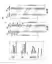Fig. 04 - SYSTEM AND METHOD FOR PARALLELIZATION OF CPU AND GPU PROCESSING FOR ULTRASOUND IMAGING DEVICES