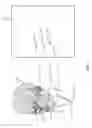 Fig. 04 - Dynamic Creation of Augmented Reality Effects