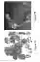 Fig. 10 - Image style transfer for three-dimensional models