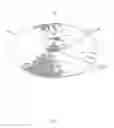 Fig. 02 - Frequency control cymbal