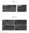 Fig. 07 - Sensor and supercapacitor based on graphene polypyrrole 3D porous structure, and integrated device including the same