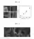 Fig. 08 - Sensor and supercapacitor based on graphene polypyrrole 3D porous structure, and integrated device including the same