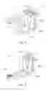 Fig. 07 - Contactor