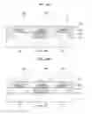 Fig. 25 - Displaying apparatus having light emitting device, method of manufacturing the same and method of transferring light emitting device