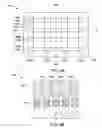 Fig. 07 - Nanosheet channel post replacement gate process