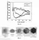 Fig. 10 - Lithium battery using lithium polysulfide as the cathode active material