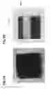 Fig. 06 - Method for manufacturing optical element and optical element