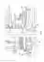 Fig. 09 - Method and arrangement for assembling an electric motor or generator