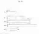 Fig. 16 - QC LDPC code rate matching method and device therefor