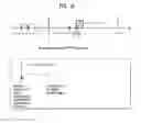 Fig. 14 - Method for updating hybrid CSI in multiple antenna communication system and device therefor