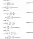 Fig. 293 - Signal generation method, transmission device, reception method, and reception device