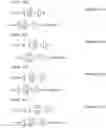 Fig. 299 - Signal generation method, transmission device, reception method, and reception device