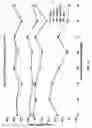 Fig. 52 - Checksum-filtered decoding, checksum-aided forward error correction of data packets, forward error correction of data using bit erasure channels and sub-symbol level decoding for erroneous fountain codes