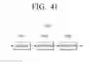 Fig. 48 - Transmitting apparatus and mapping method thereof