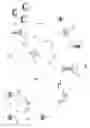 Fig. 02 - NR-SS LBT gap optimizations