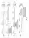 Fig. 06 - Structure for low-power-low-rate data transmission