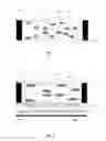 Fig. 02 - 3D spectacle lens and method for driving the same, and 3D glasses and method for driving the same