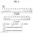 Fig. 07 - Sidelink signal transmission/reception method of UE in wireless communication system