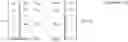 Fig. 05 - Method and device for selecting resource and transmitting PSSCH in wireless communication system