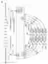Fig. 02 - Wireless microphone system