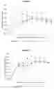 Fig. 02 - Compositions and methods for delaying and reducing blood alcohol concentration