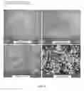 Fig. 02 - Process of stabilizing and spraying a foam to mimic the appearance of frosting