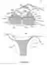 Fig. 02 - Bathing suit