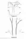 Fig. 05 - Bathing suit