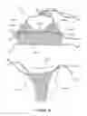 Fig. 06 - Bathing suit