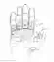 Fig. 01 - ERGONOMIC GRIPPING ACTIVITIES GLOVE
