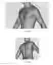 Fig. 07 - SYSTEMS AND METHODS FOR PREPARING CUSTOM CLOTHING PATTERNS