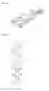 Fig. 02 - Fastener for zipper