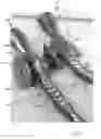 Fig. 02 - Easy-mounting universal stabilizer arm clamp