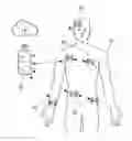 Fig. 01 - Ultrasonic network for wearable devices