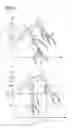 Fig. 07 - Method of processing fluoroscopy images